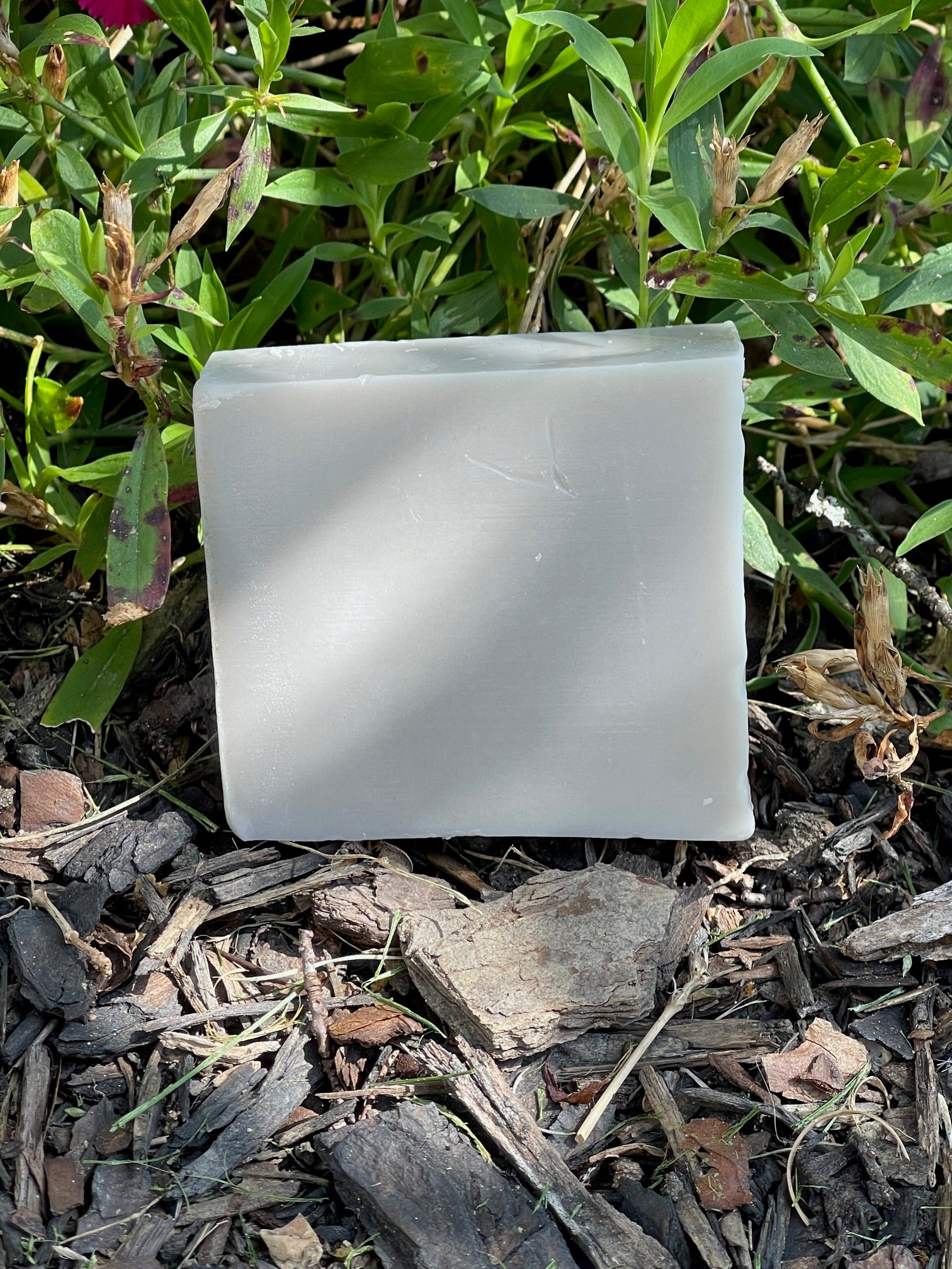 Sea Moss Soap for Eczema Relief with Manuka Honey