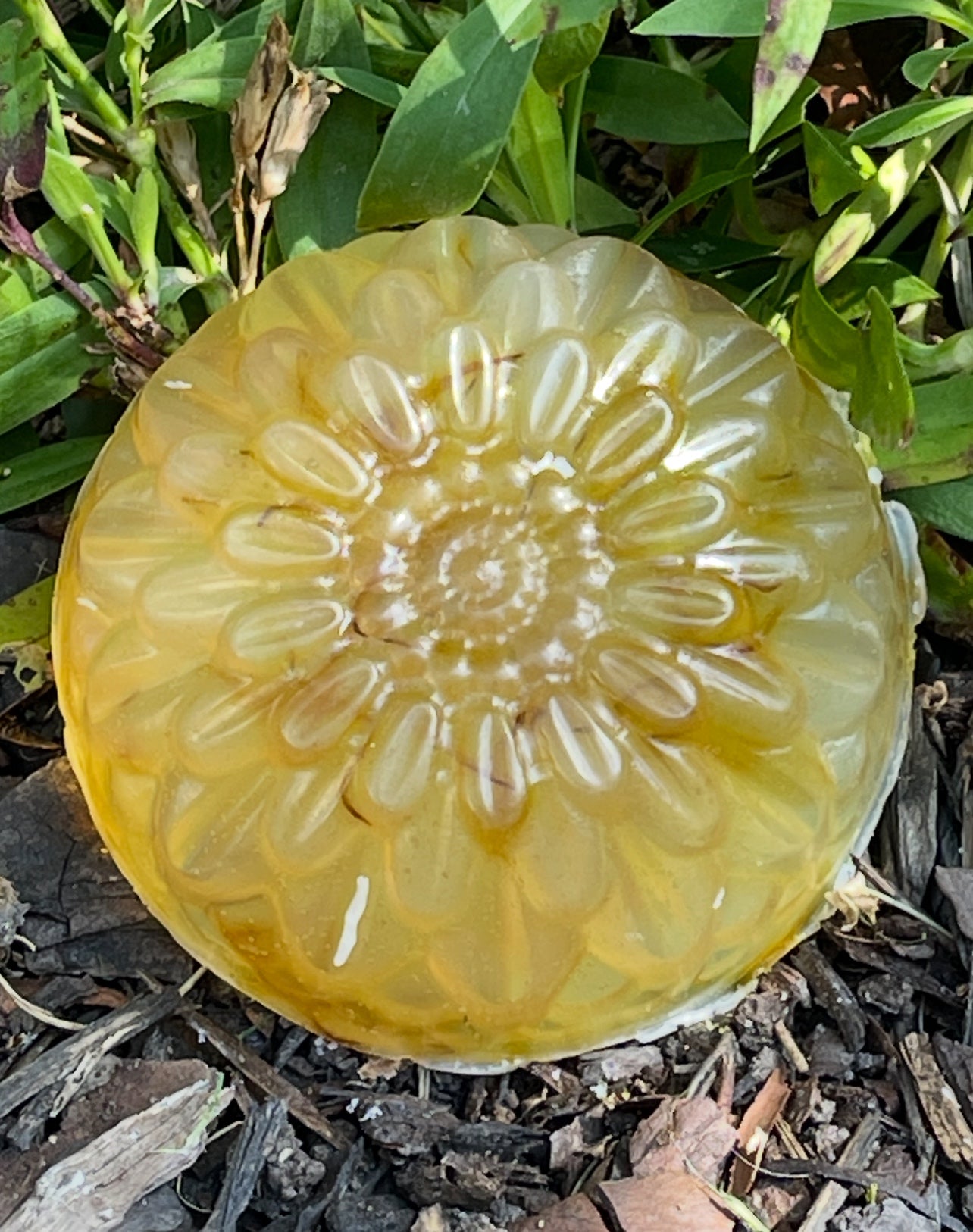 Golden Moss Glow Soap with Moringa, Calendula and Hemp Oil Seed