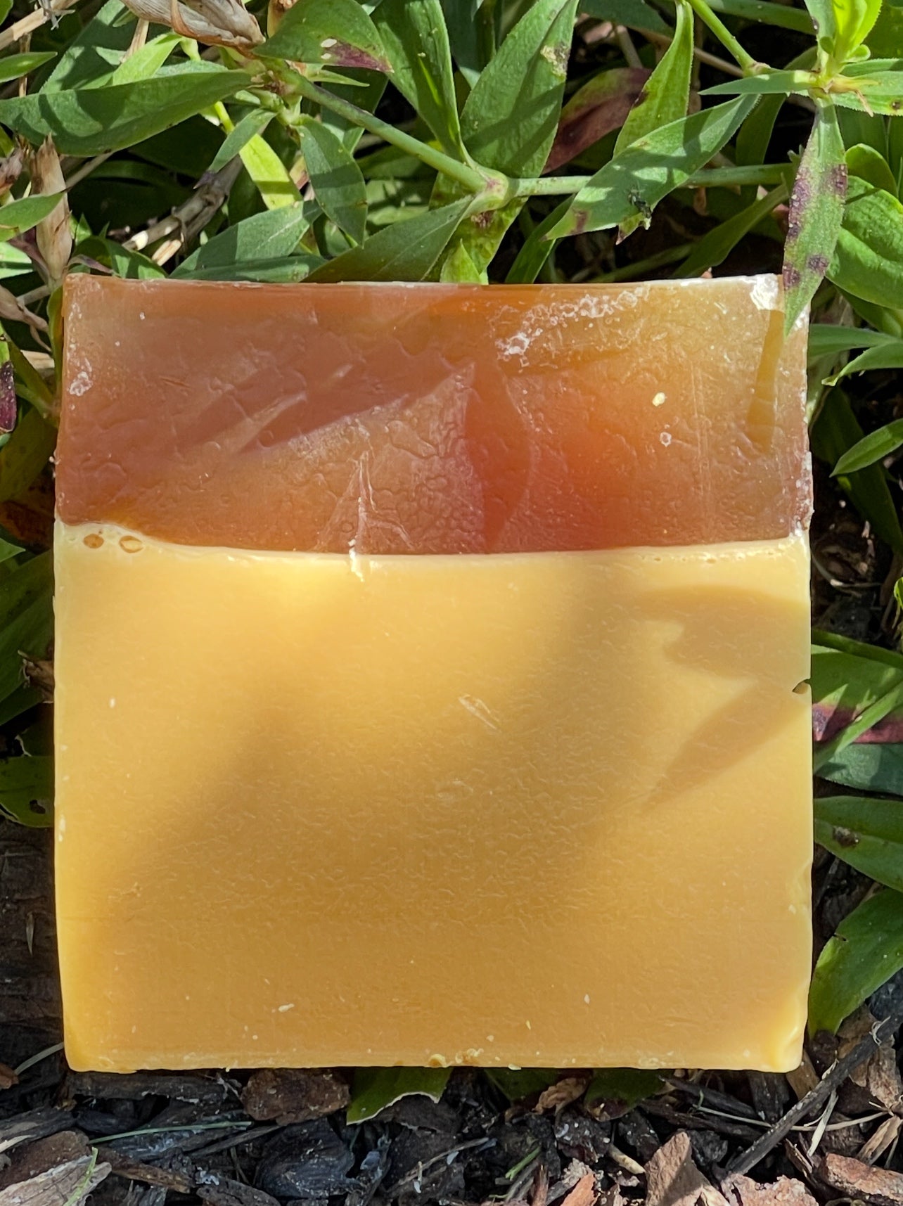 Turmeric Soap with Manuka Honey & Kojic for Dark Spots