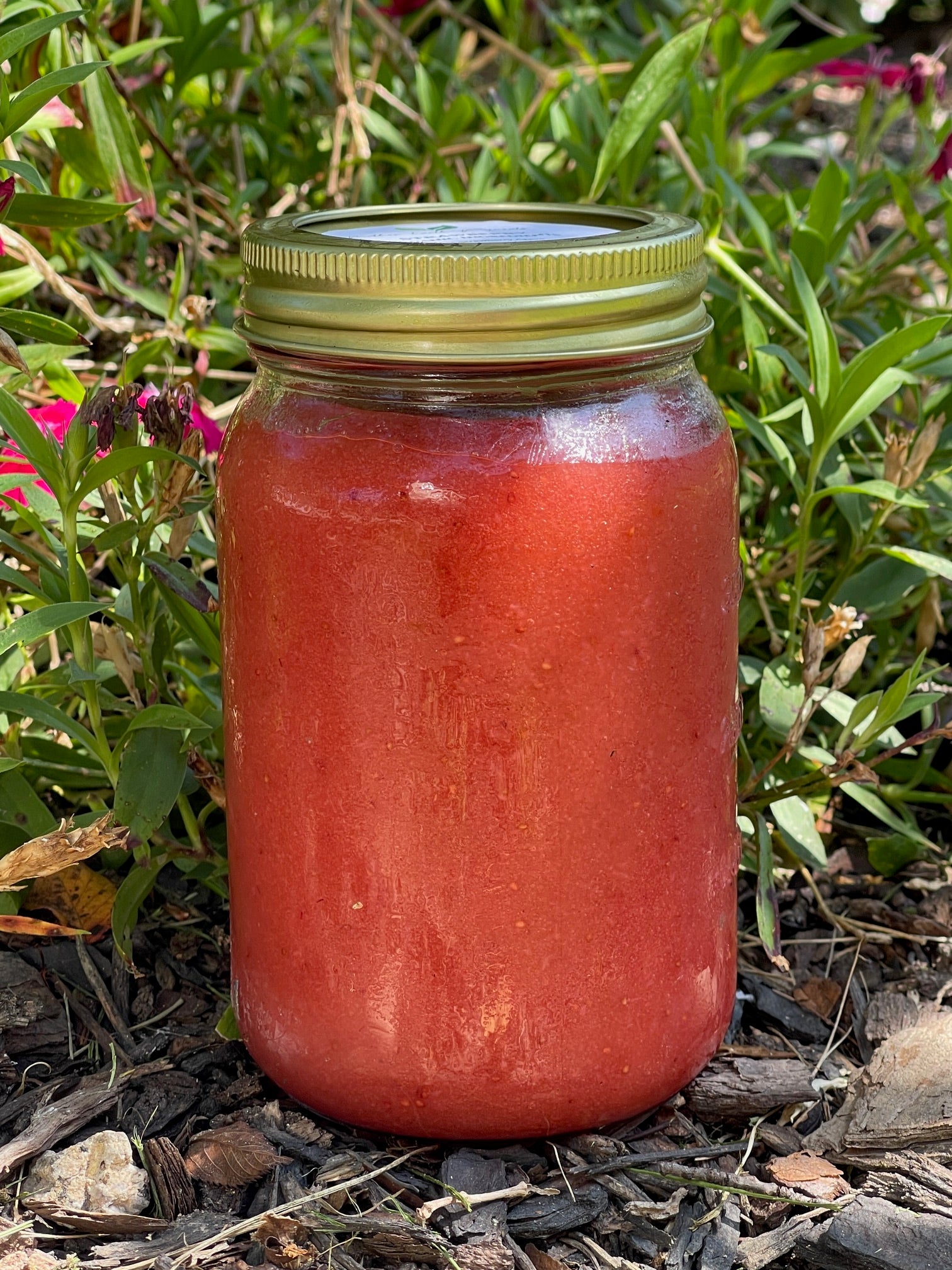 Strawberry SeaMoss -16oz
